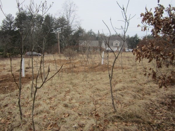 Lot 54 Valley Road Southampton, MA 01073 - Photo 9 of 14 a view of a pathway with a bench