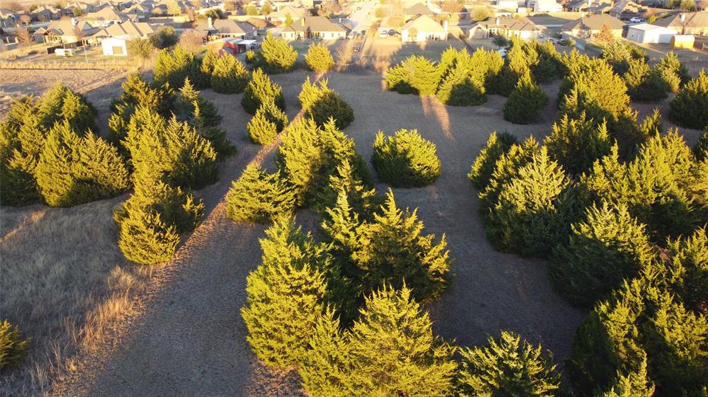 2 Robnett Road Waxahachie, TX 75165 - Photo 11 of 15 a view of a flower