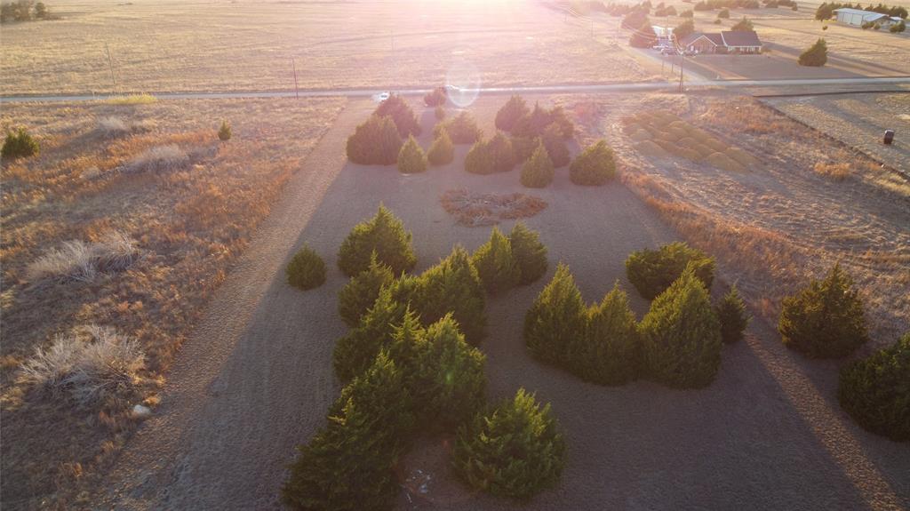2 Robnett Road Waxahachie, TX 75165 - Photo 13 of 15 a close up of a plant in a garden