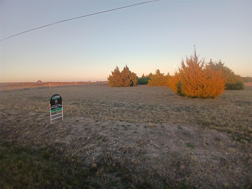 2 Robnett Road Waxahachie, TX 75165 - Photo 7 of 15 a view of a dry yard