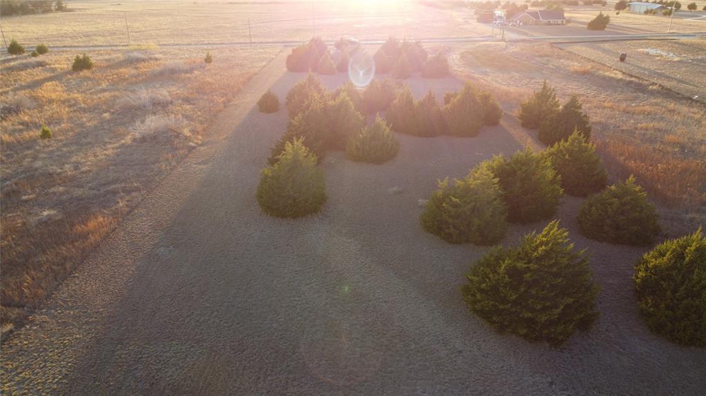 2 Robnett Road Waxahachie, TX 75165 - Photo 10 of 15 a close up of a plant in a kitchen