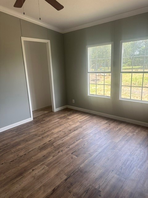 15921 Patterson Lane, Unit C564A Rosharon, TX 77583 - Photo 6 of 13 Gallery Image 6