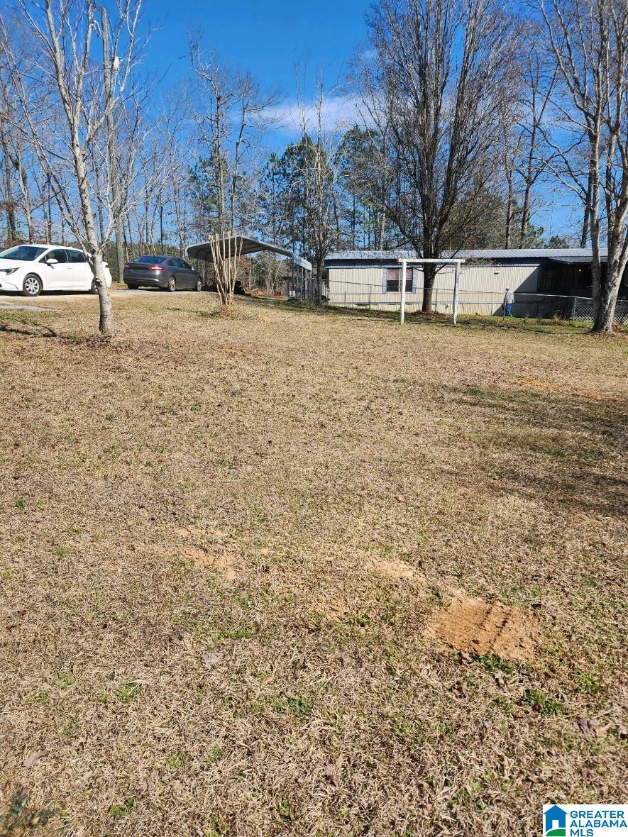 193 Mount Olive Road Goodwater, AL 35072 - Photo 8 of 28