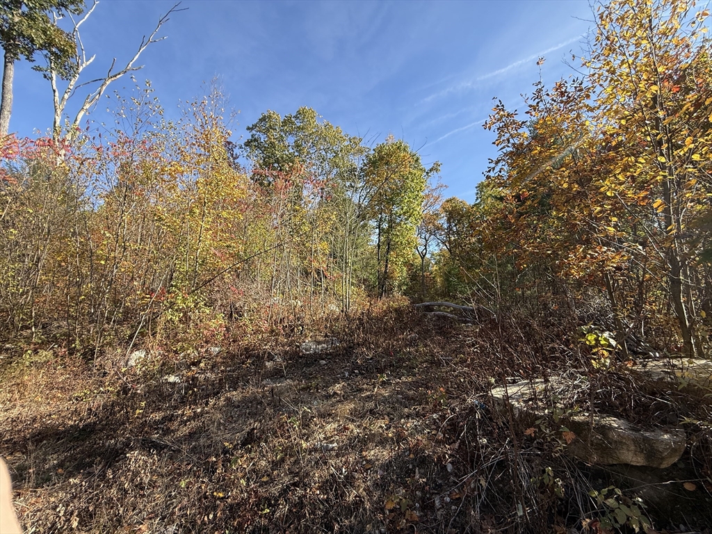 Lot 1 Amherst Road Amherst, MA 01002 - Photo 2 of 5 a view of a yard