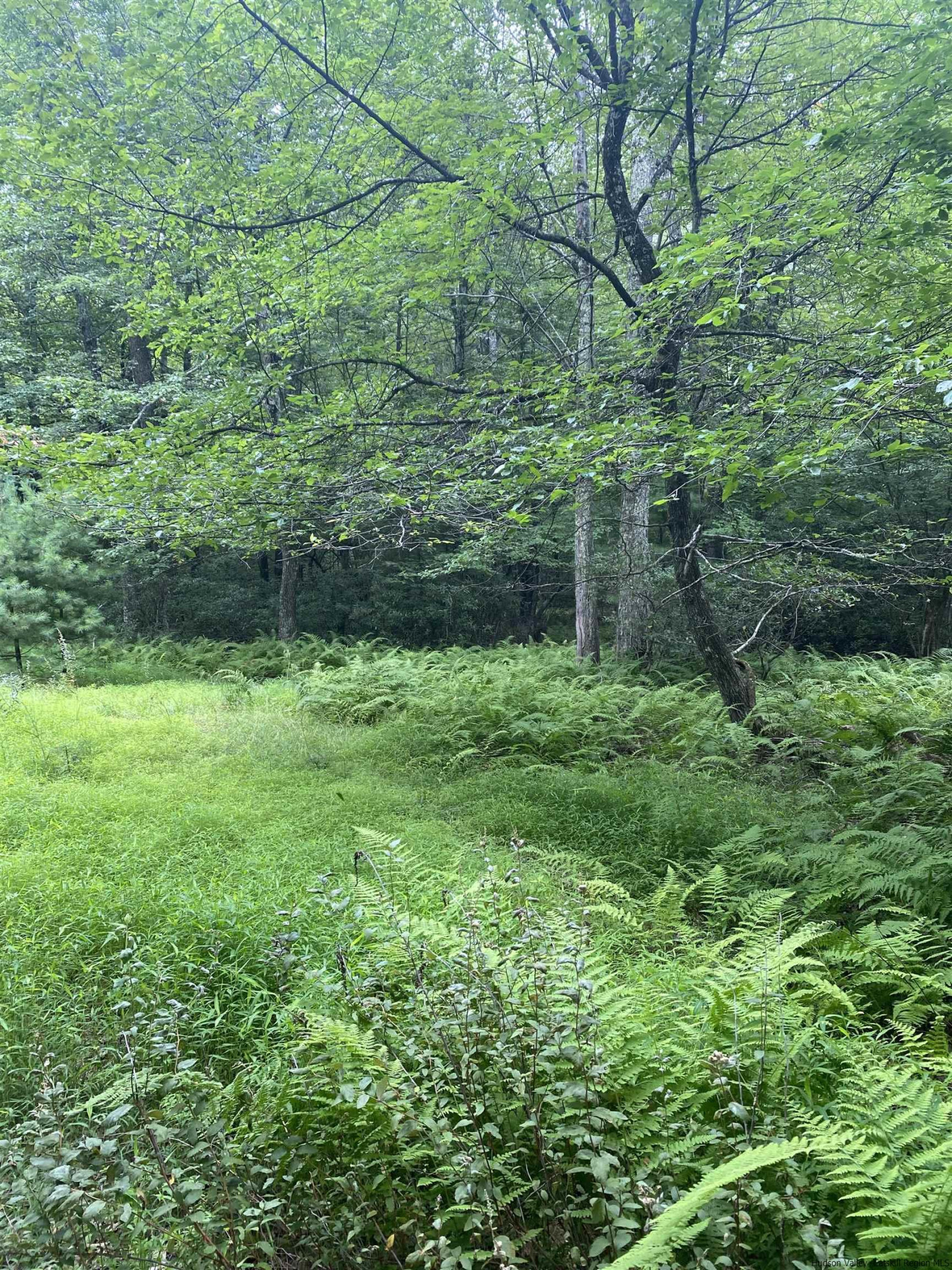 55 Roberts Road Ellenville, NY 12428 - Photo 11 of 21 Photo 11