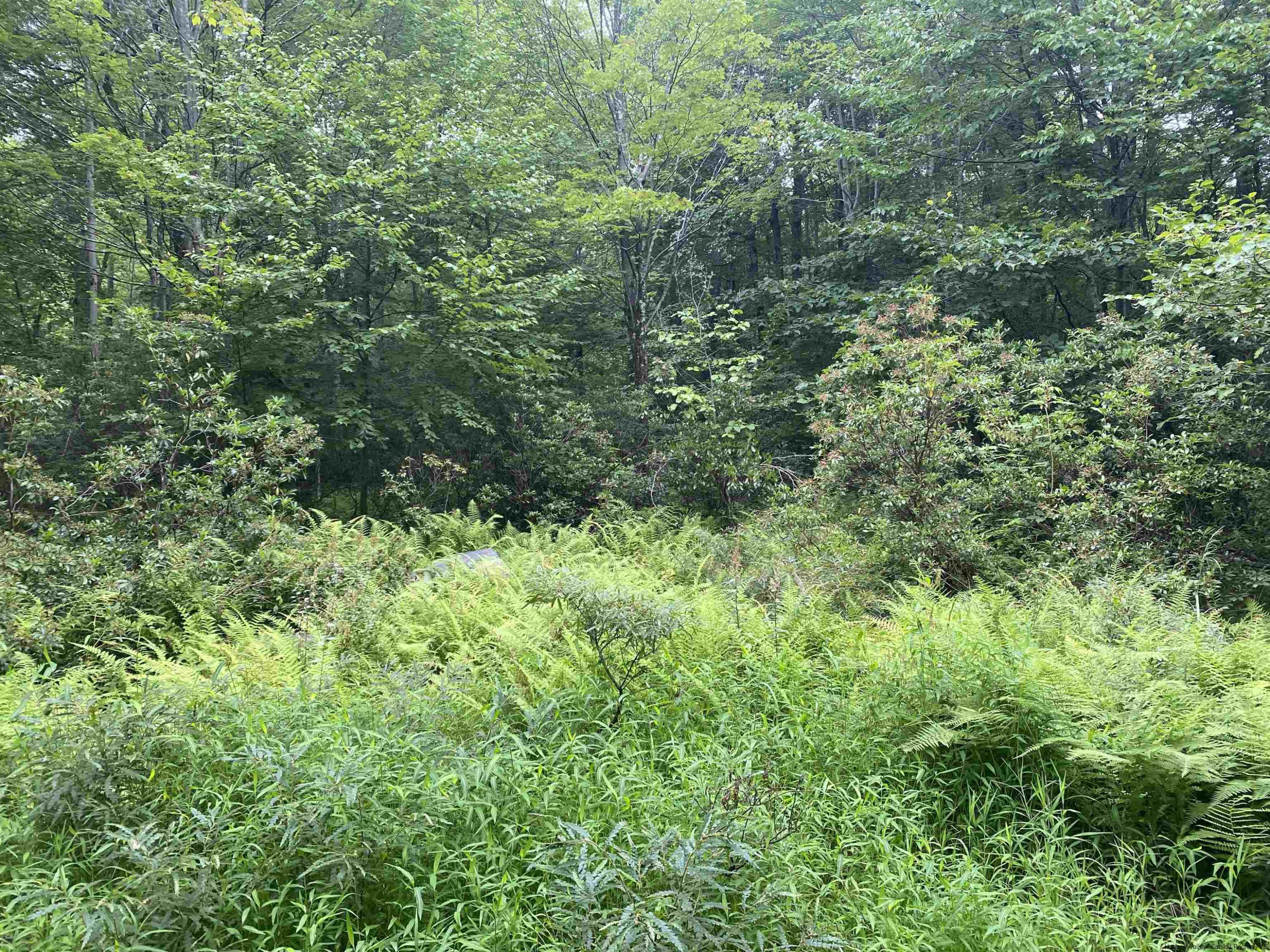 55 Roberts Road Ellenville, NY 12428 - Photo 12 of 21 Photo 12