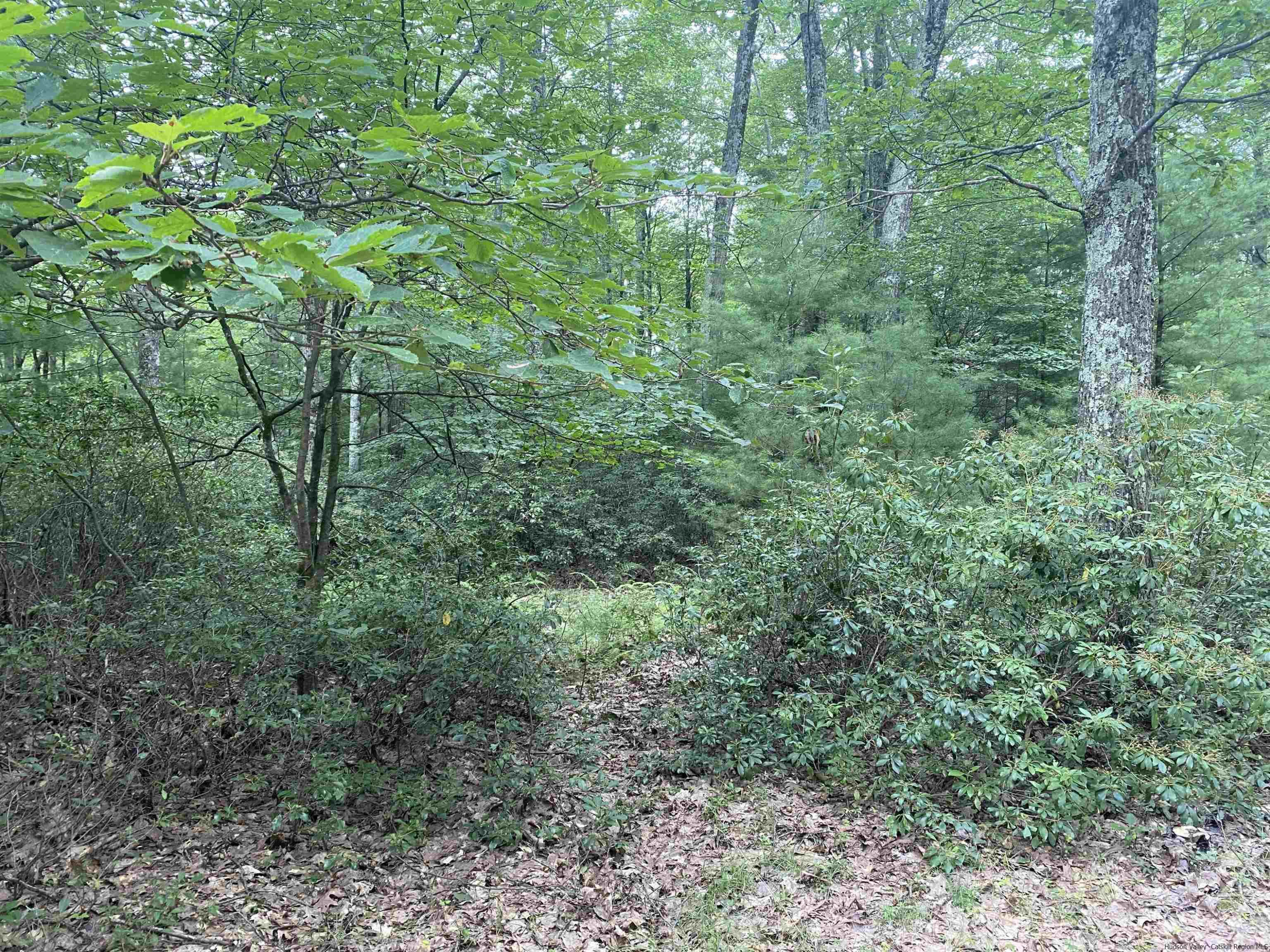 55 Roberts Road Ellenville, NY 12428 - Photo 13 of 21 Photo 13