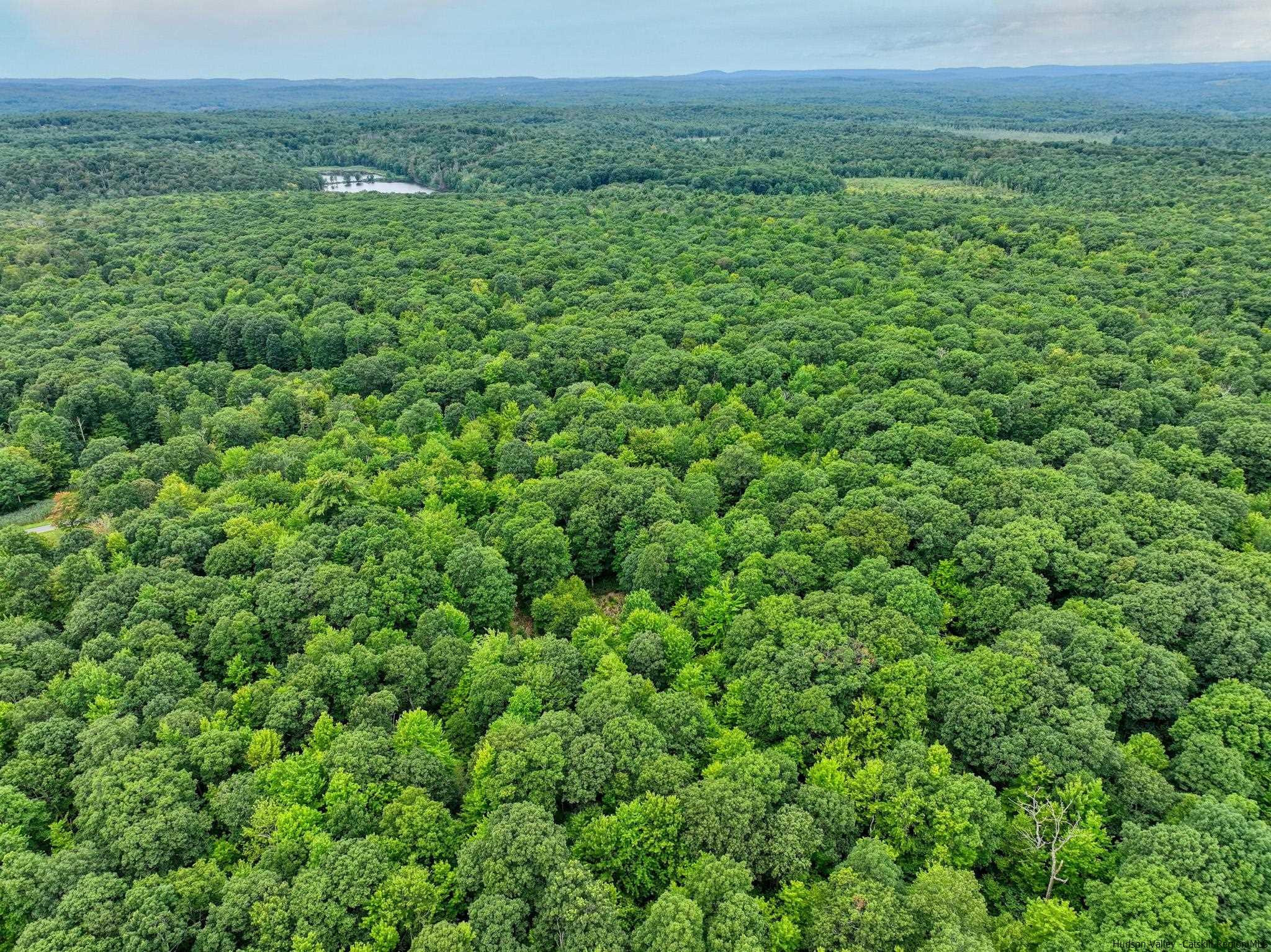 55 Roberts Road Ellenville, NY 12428 - Photo 20 of 21 Photo 20