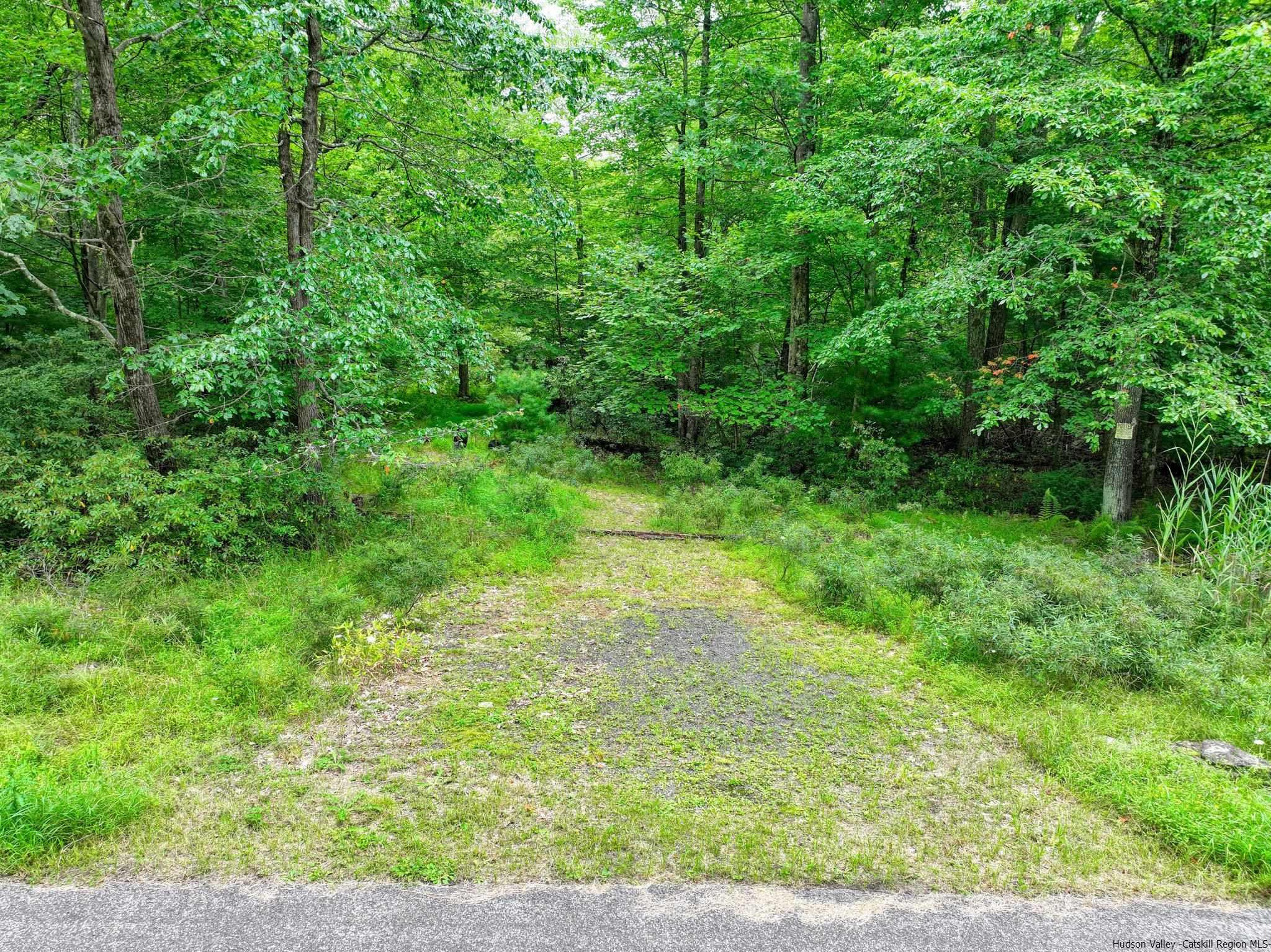 55 Roberts Road Ellenville, NY 12428 - Photo 4 of 21 Photo 4