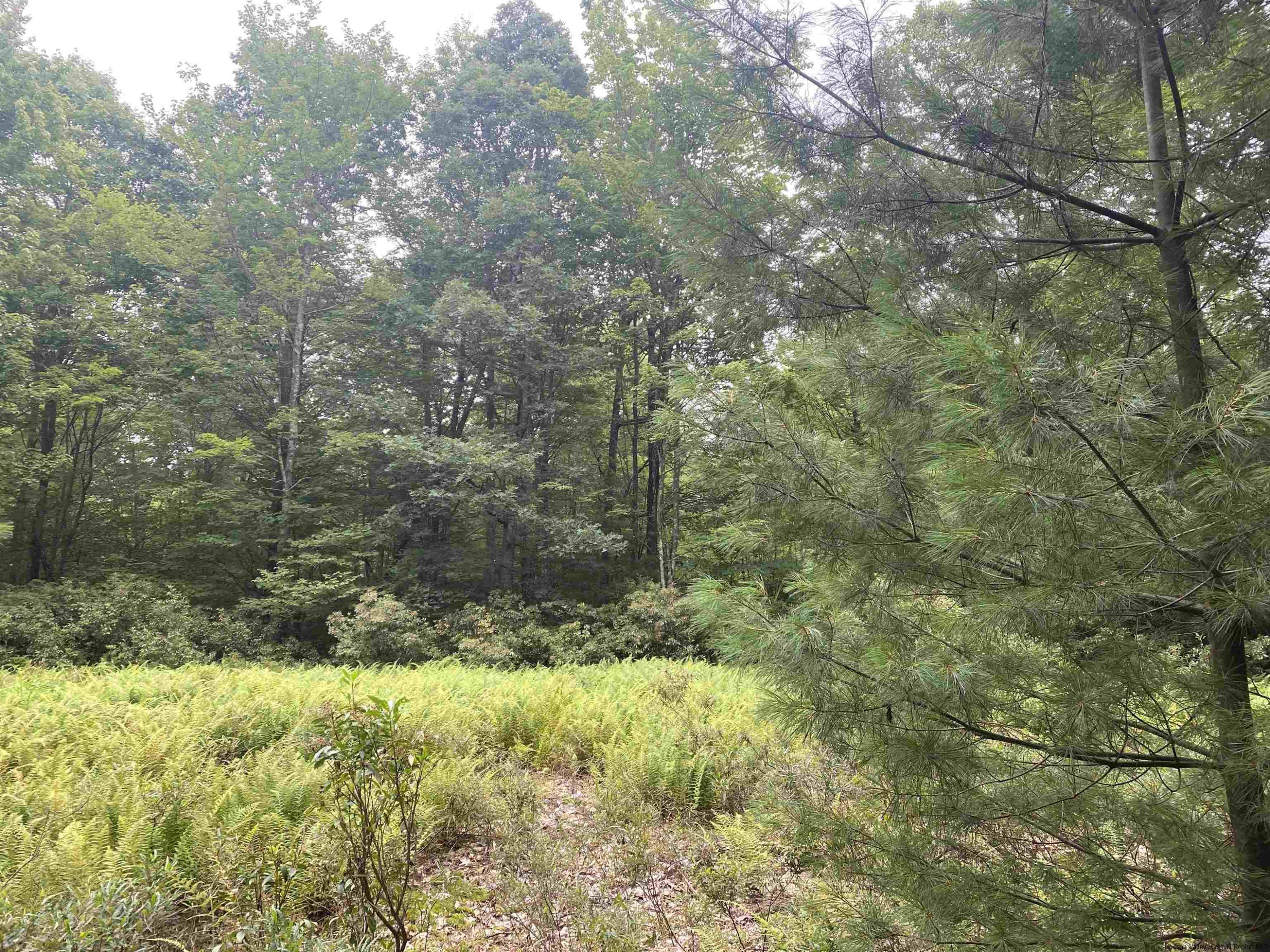 55 Roberts Road Ellenville, NY 12428 - Photo 7 of 21 Photo 7