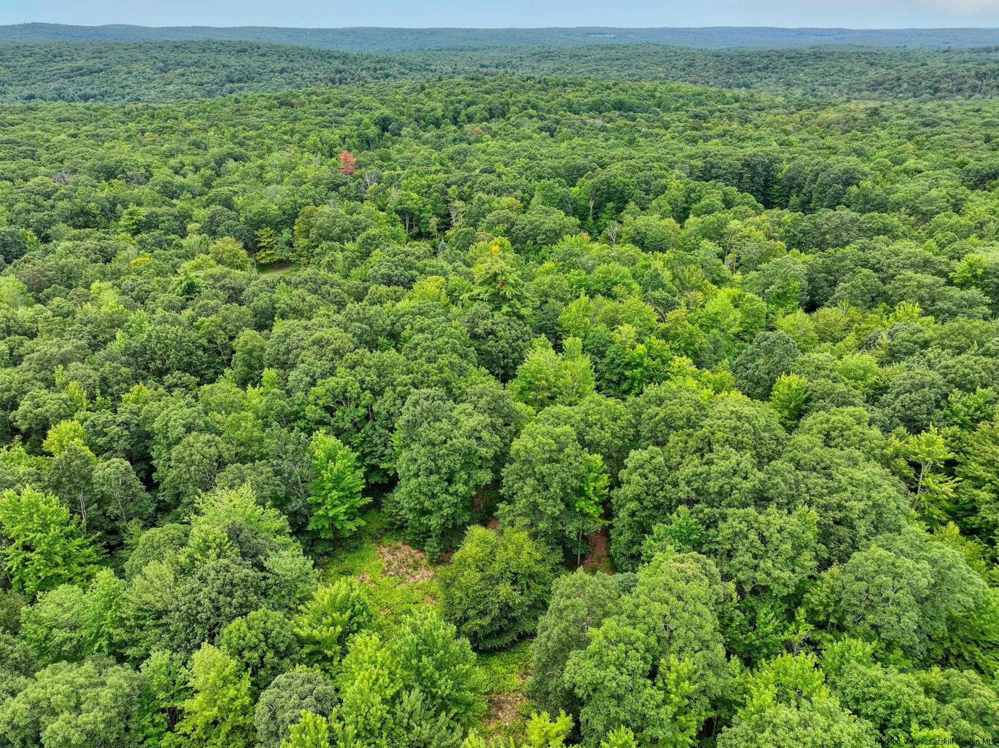 55 Roberts Road Ellenville, NY 12428 - Photo 10 of 21 Photo 10