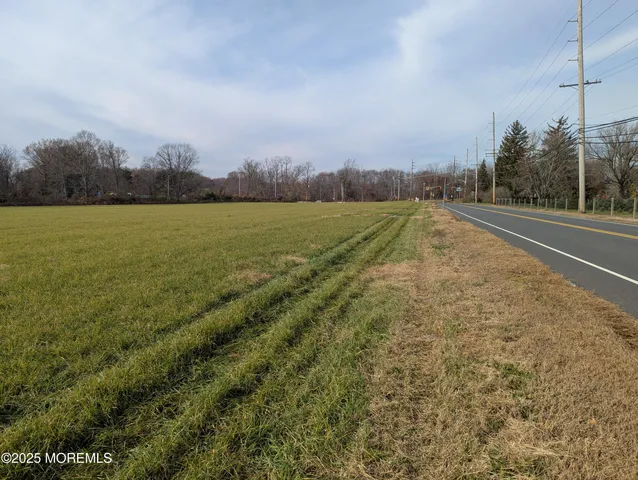 a view of a field with an ocean