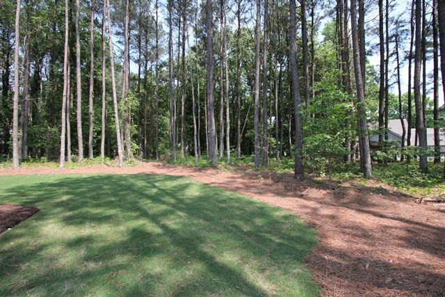 13804 Durant Road Raleigh, NC 27614 - Photo 23 of 25 Photo 23