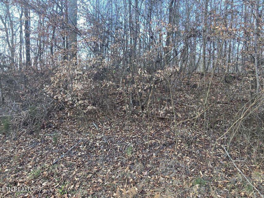 Lot 15 River Road Decatur, TN 37322 - Photo 2 of 3 20260107194909587229000000-o