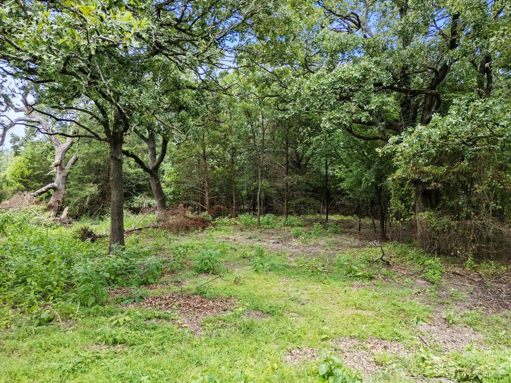 1358 East Rabbit Cove Road West Tawakoni, TX 75474 - Photo 11 of 12