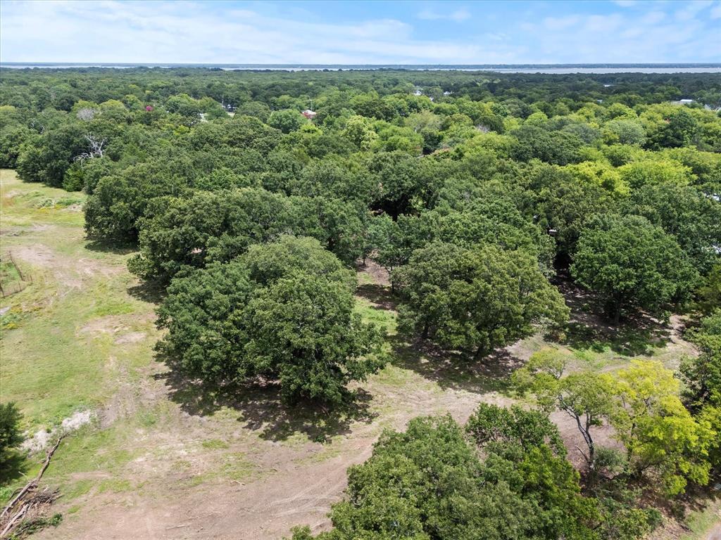 1358 East Rabbit Cove Road West Tawakoni, TX 75474 - Photo 7 of 12