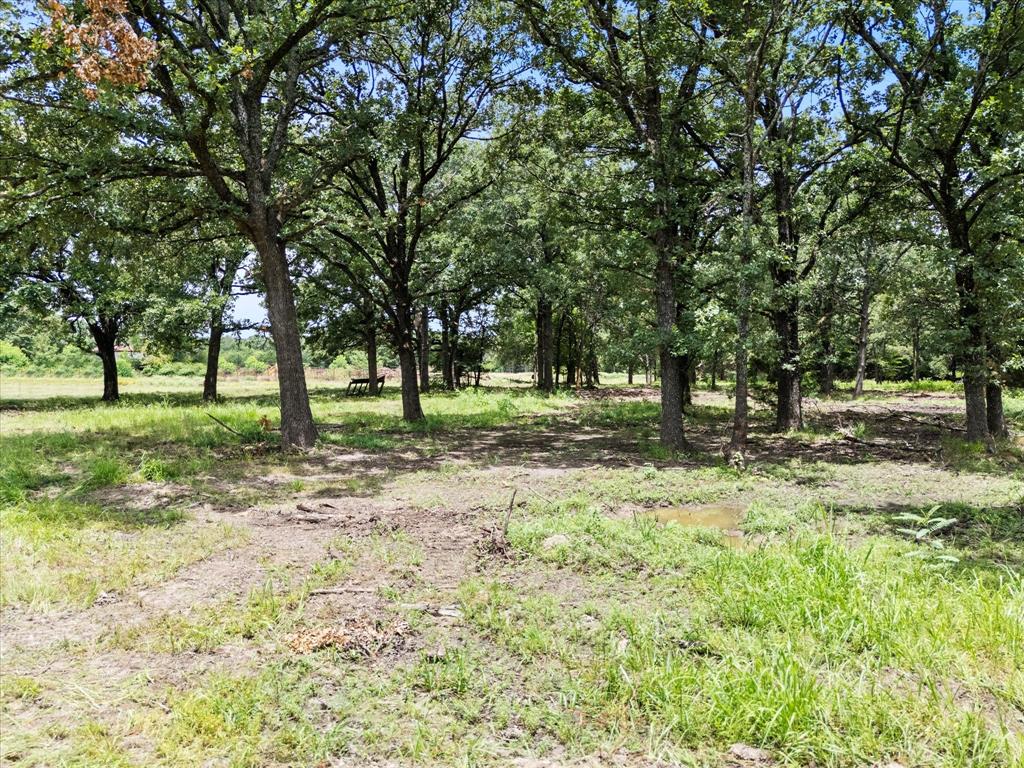 1358 East Rabbit Cove Road West Tawakoni, TX 75474 - Photo 10 of 12
