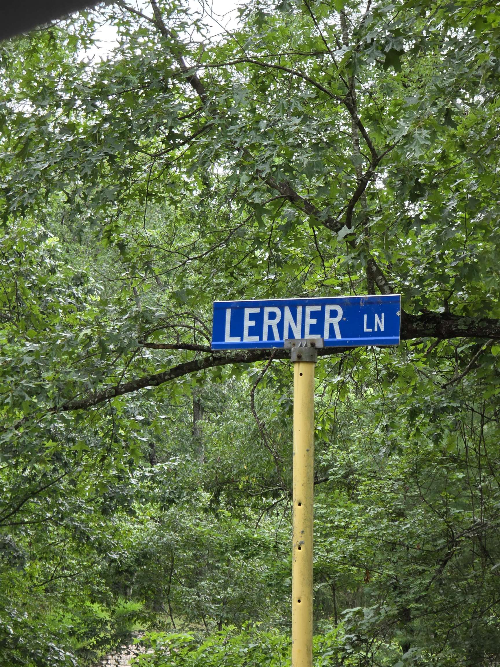0 Lerner Lane Mount Jackson, VA 22842 - Photo 2 of 6 a sign that is sitting in front of a tree