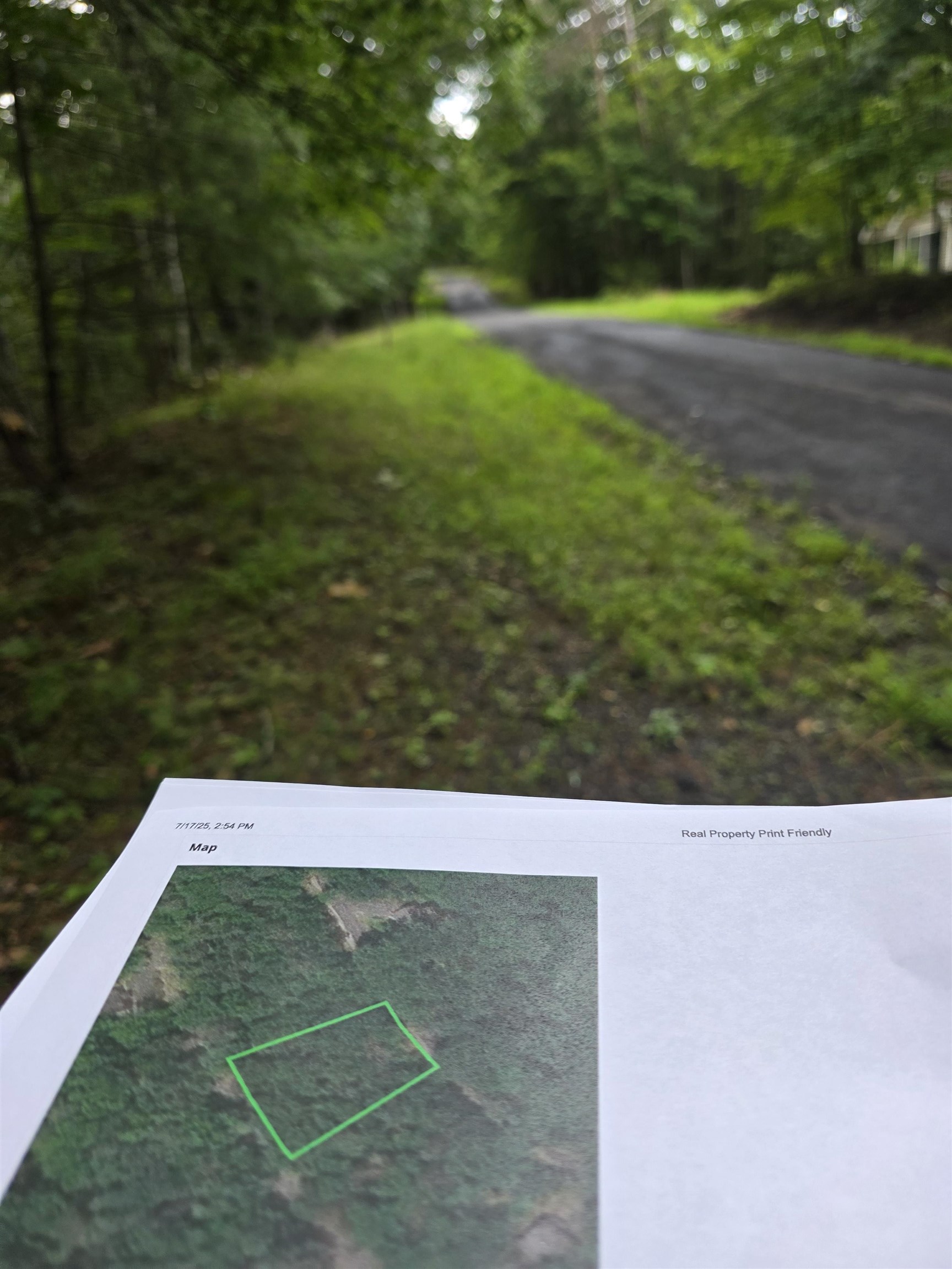 0 Lerner Lane Mount Jackson, VA 22842 - Photo 5 of 6 a view of yard with green space