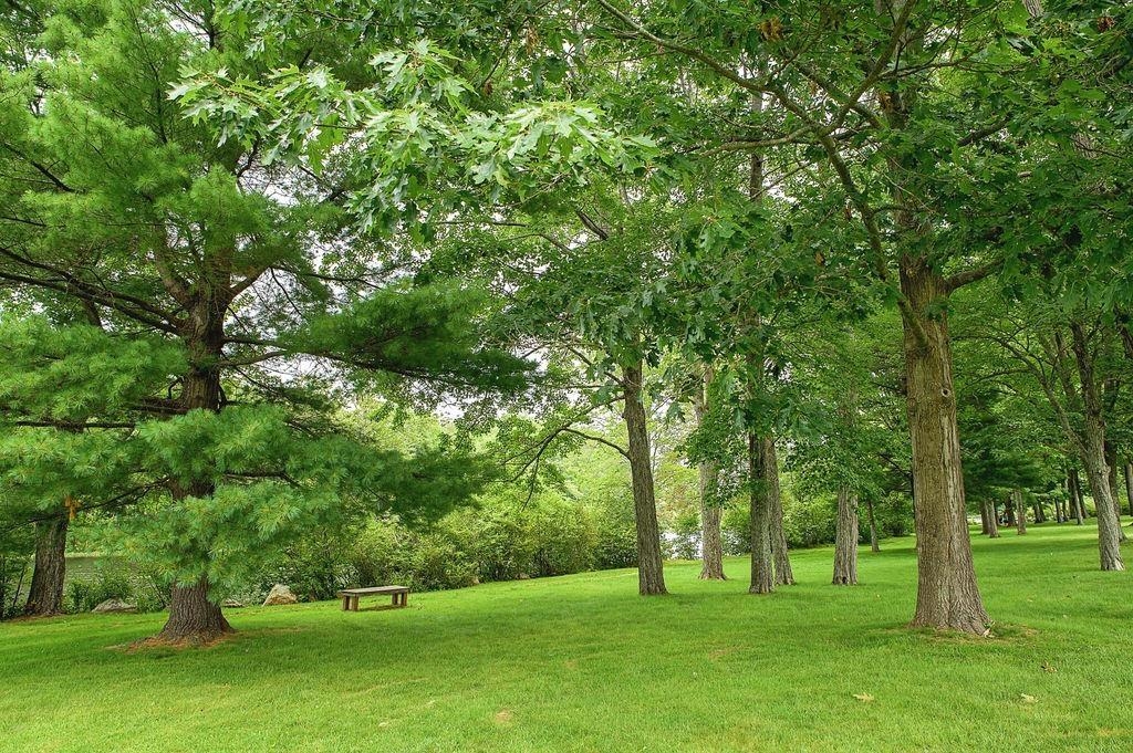 17 Bridge Street Pittsfield, NH 03263 - Photo 28 of 39