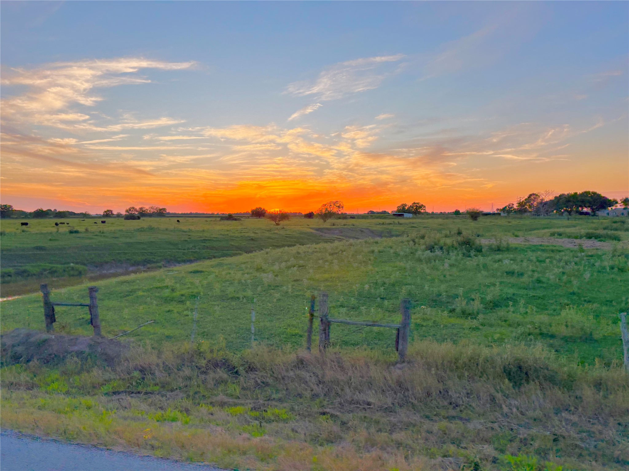9062 Drachenberg Road Beasley, TX 77417 - Photo 6 of 7 a view of a yard with an outdoor seating