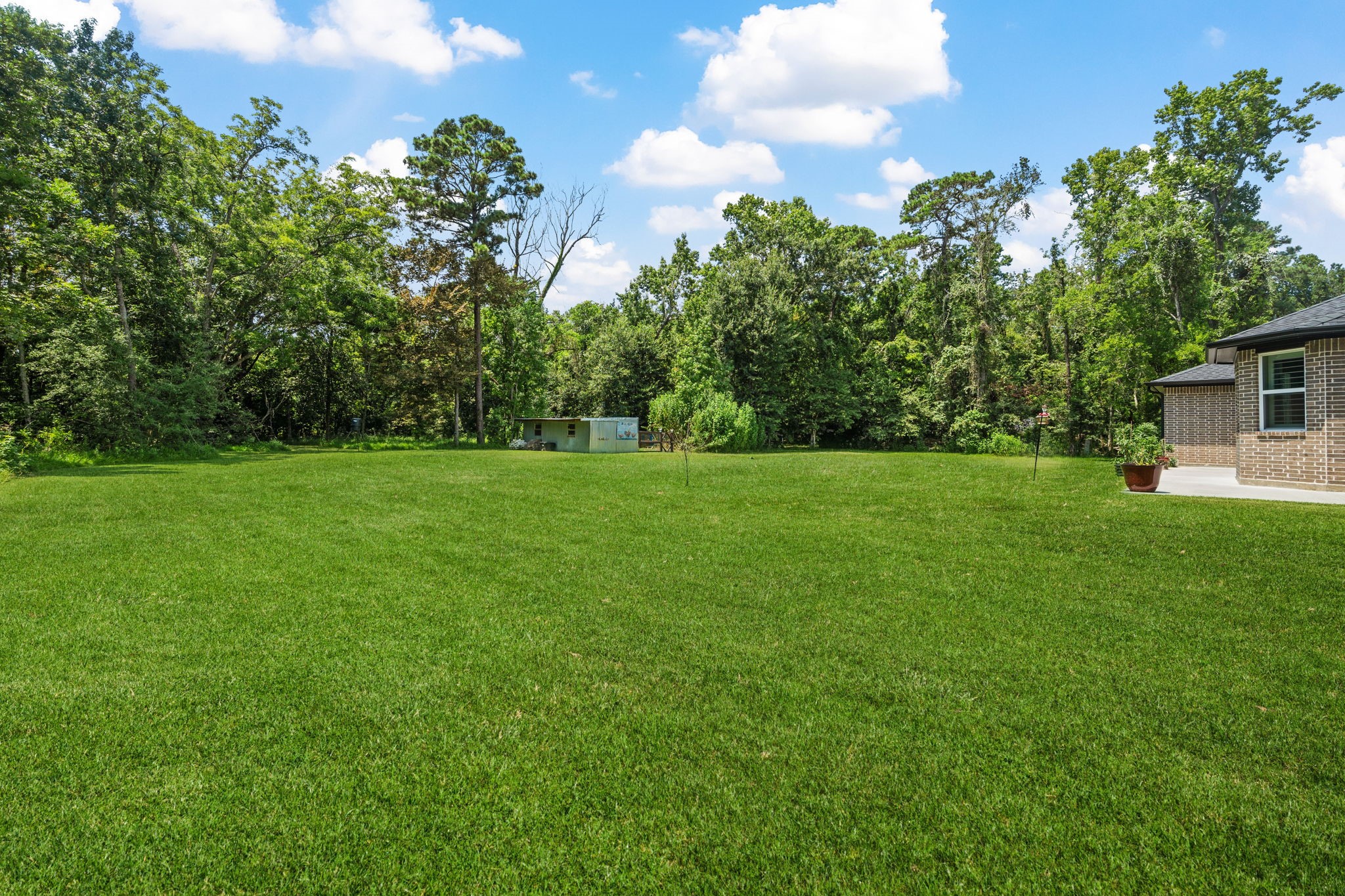 3004 Tyler Street Dayton, TX 77535 - Photo 32 of 34 a view of a grassy field with trees in the background