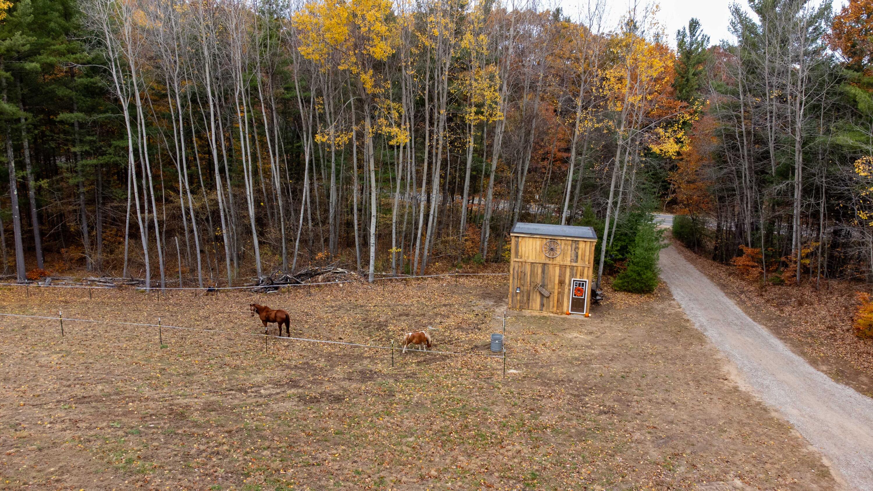 151 East Shelby Road Shelby, MI 49455 - Photo 23 of 53 151 E Shelby Rd-1