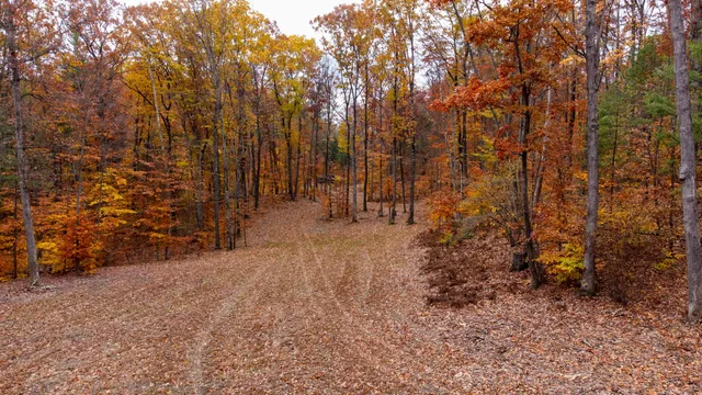 $259,000 | 151 East Shelby Road, Shelby, MI 49455