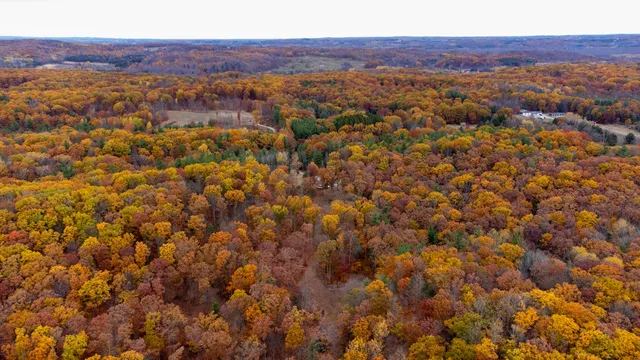 $259,000 | 151 East Shelby Road, Shelby, MI 49455