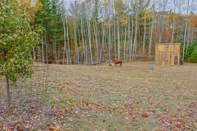 $259,000 | 151 East Shelby Road, Shelby, MI 49455