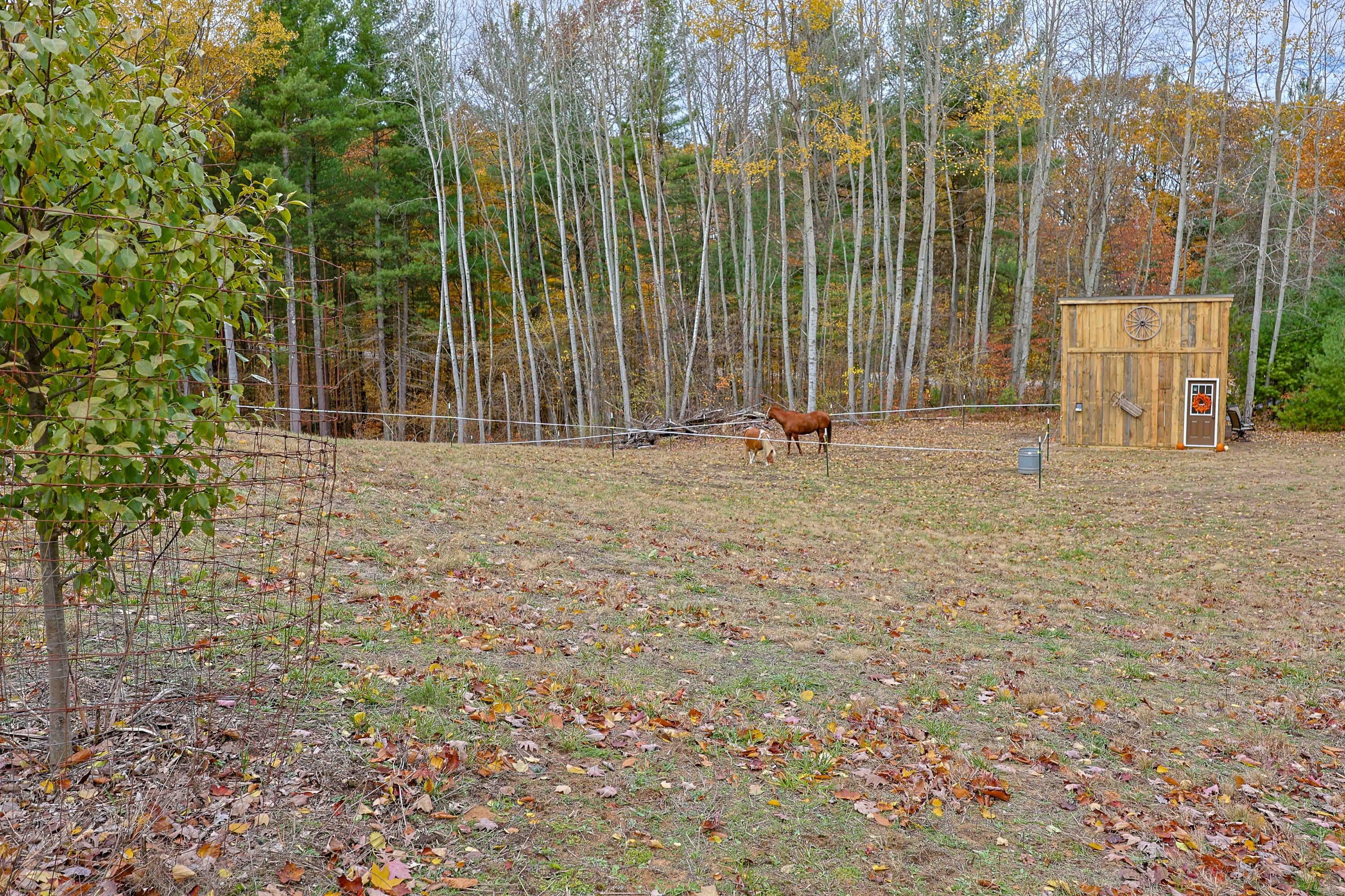 151 East Shelby Road Shelby, MI 49455 - Photo 46 of 53 151 E Shelby Rd-43