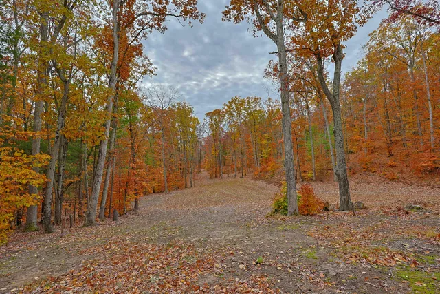 $259,000 | 151 East Shelby Road, Shelby, MI 49455