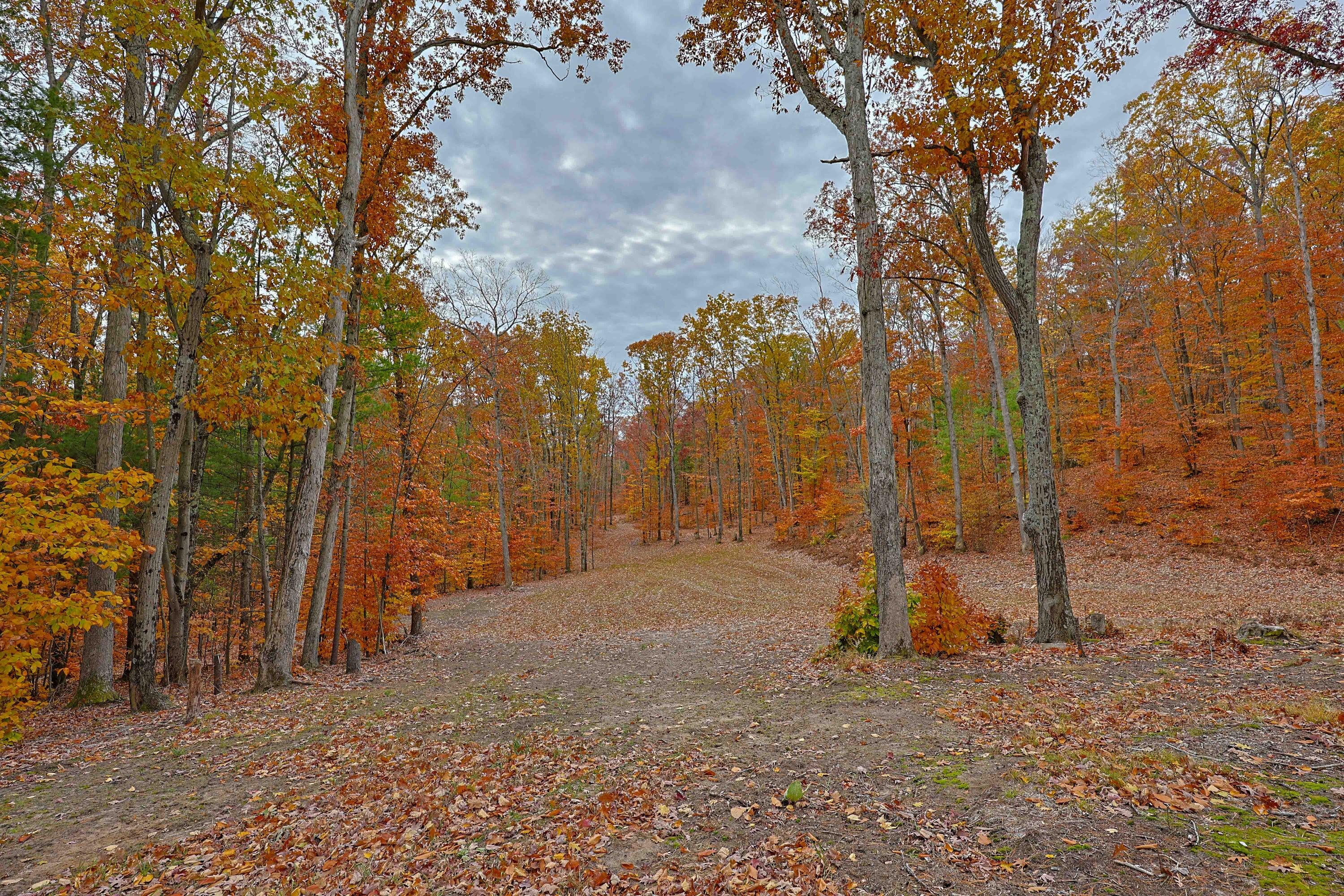 151 East Shelby Road Shelby, MI 49455 - Photo 47 of 53 151 E Shelby Rd-46