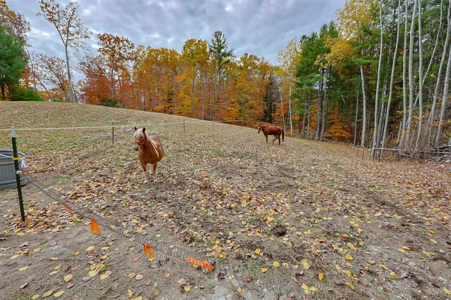 $259,000 | 151 East Shelby Road, Shelby, MI 49455