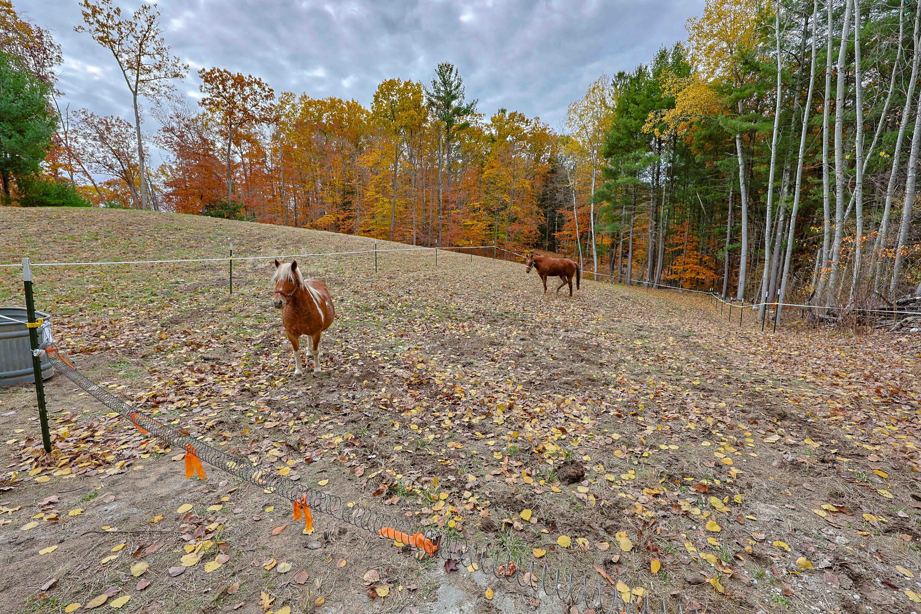 151 East Shelby Road Shelby, MI 49455 - Photo 50 of 53 151 E Shelby Rd-56