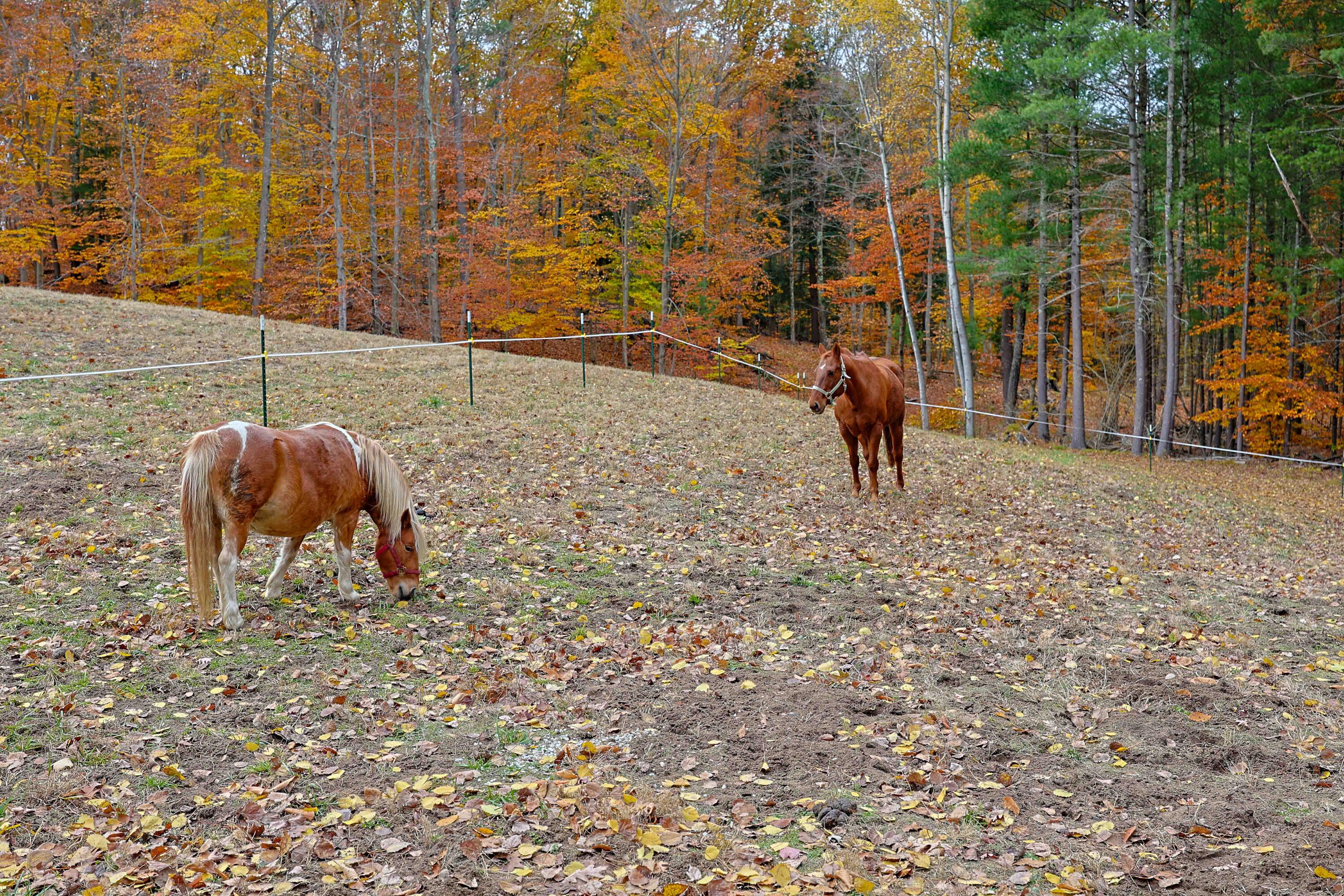 151 East Shelby Road Shelby, MI 49455 - Photo 51 of 53 151 E Shelby Rd-57