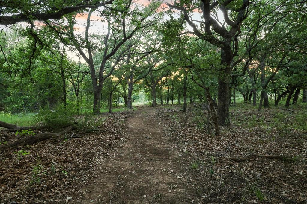 435 Timberidge Lake Road Graham, TX 76450 - Photo 39 of 40