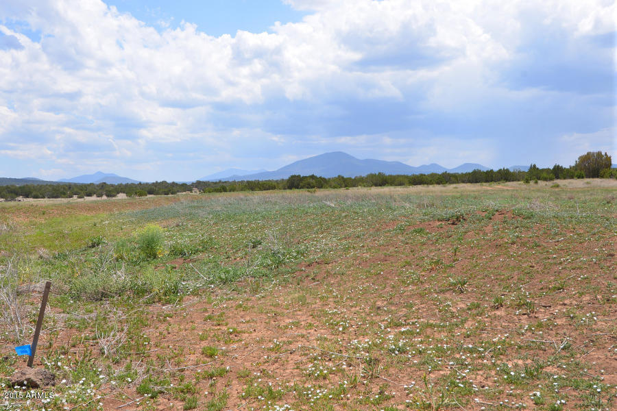 8433 North Red Lake Road, Unit 3 Williams, AZ 86046 - Photo 3 of 3 North Boundary 2
