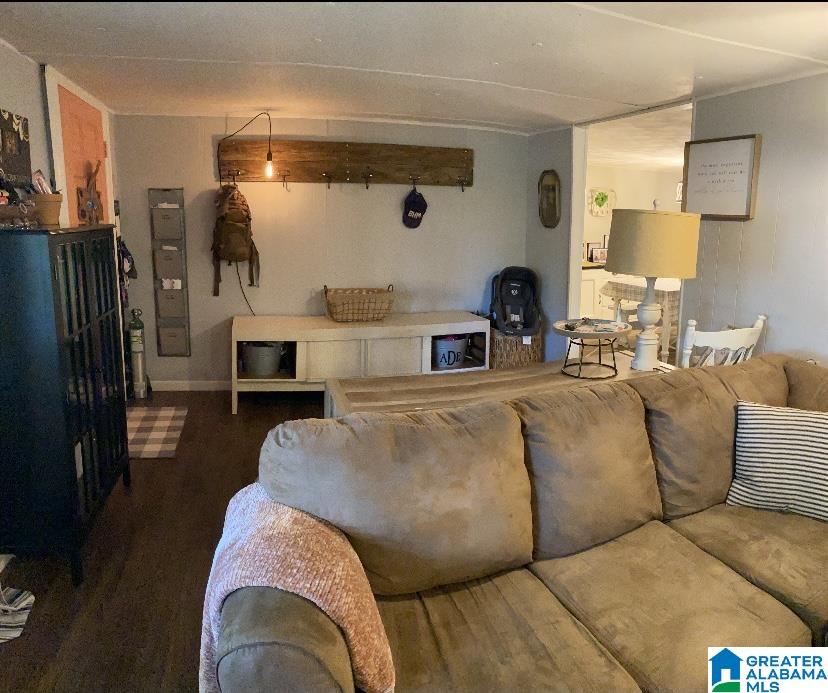 5785 Highway 11 Springville, AL 35146 - Photo 3 of 11