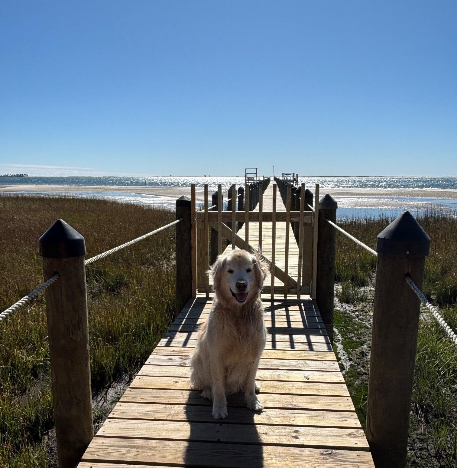 4522 St Teresa Landing Road Sopchoppy, FL 32358 - Photo 16 of 53