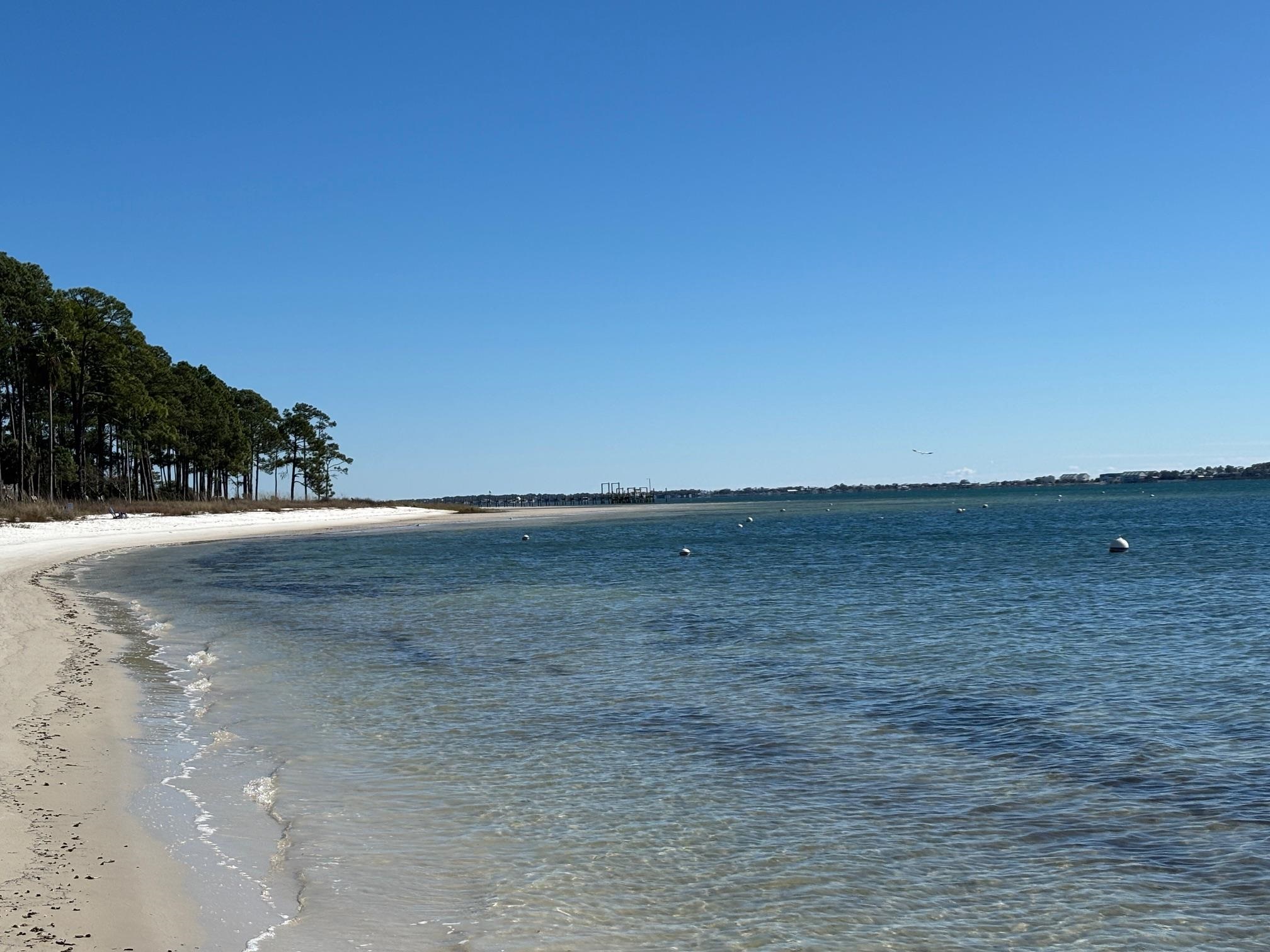 4522 St Teresa Landing Road Sopchoppy, FL 32358 - Photo 4 of 53