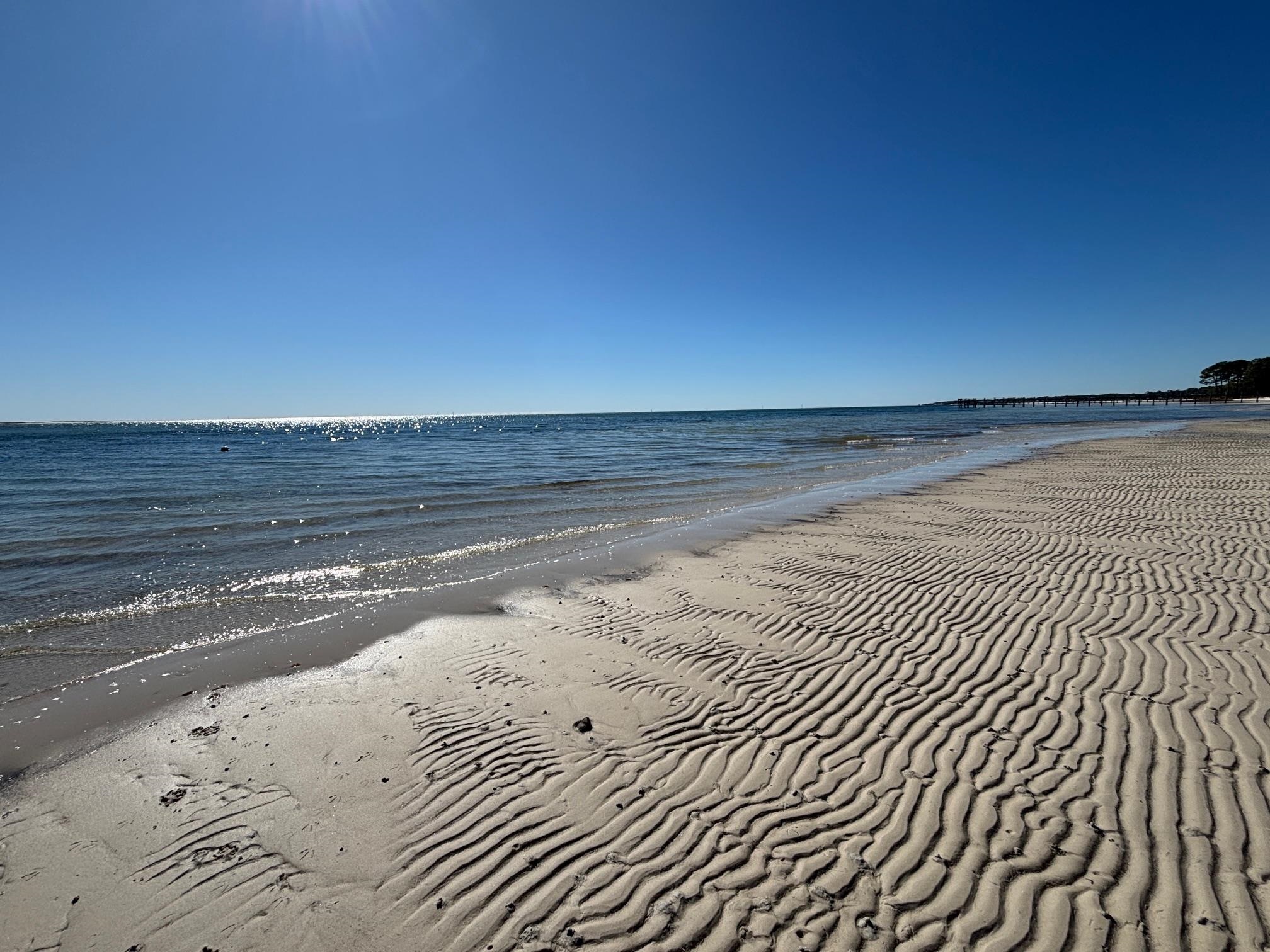 4522 St Teresa Landing Road Sopchoppy, FL 32358 - Photo 6 of 53