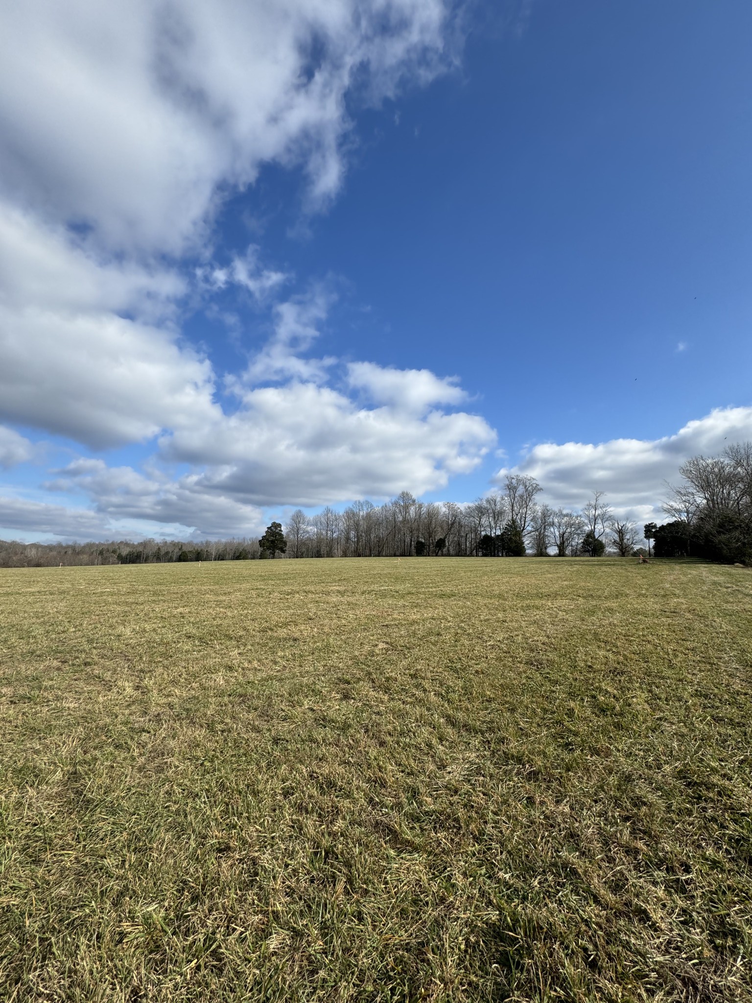 0 Willette Road Red Boiling Springs, TN 37150 - Photo 2 of 4