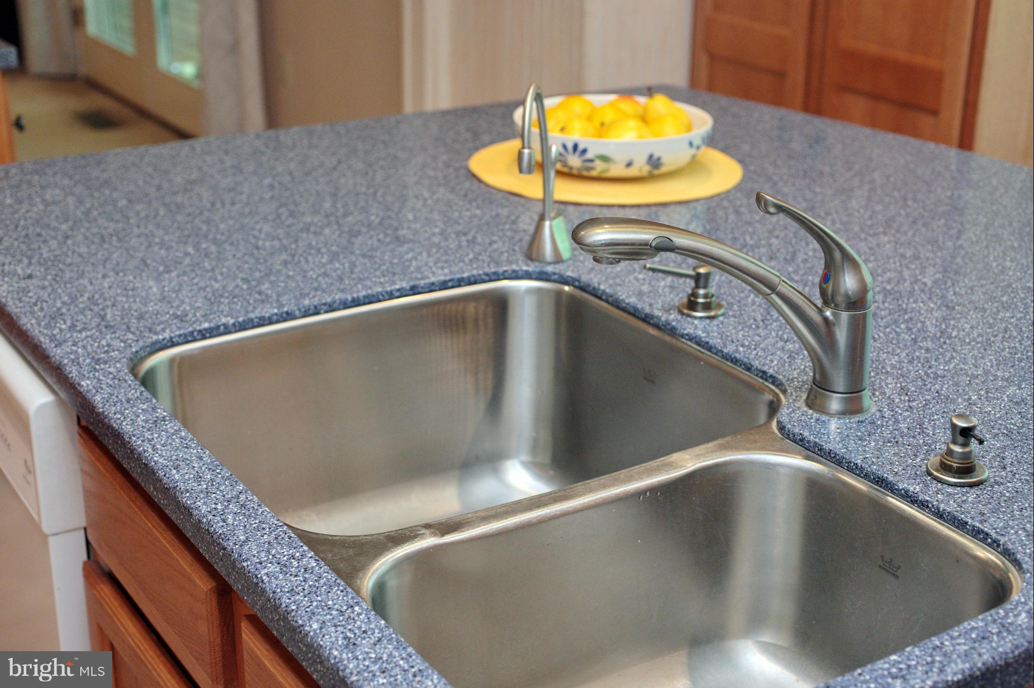 8725 Lowell Road Pomfret, MD 20675 - Photo 10 of 30 Double Sink w/ Instant Hot Water
