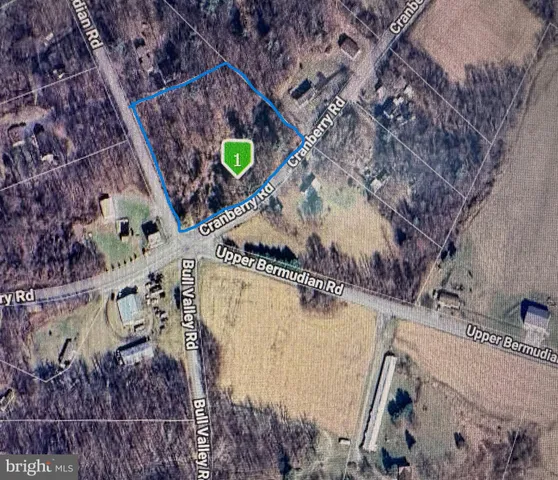 a view of a backyard with a tree