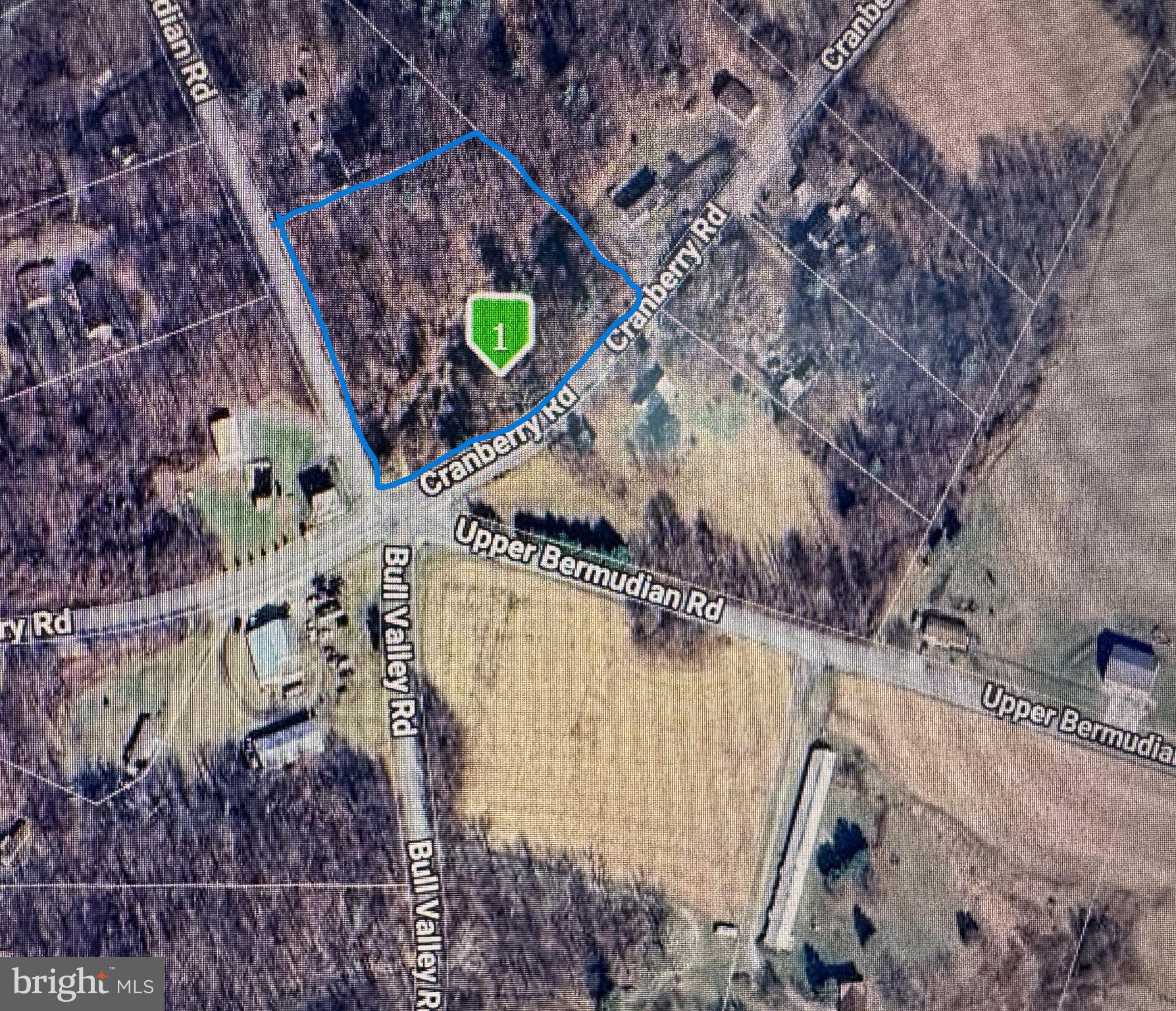 a view of a backyard with a tree