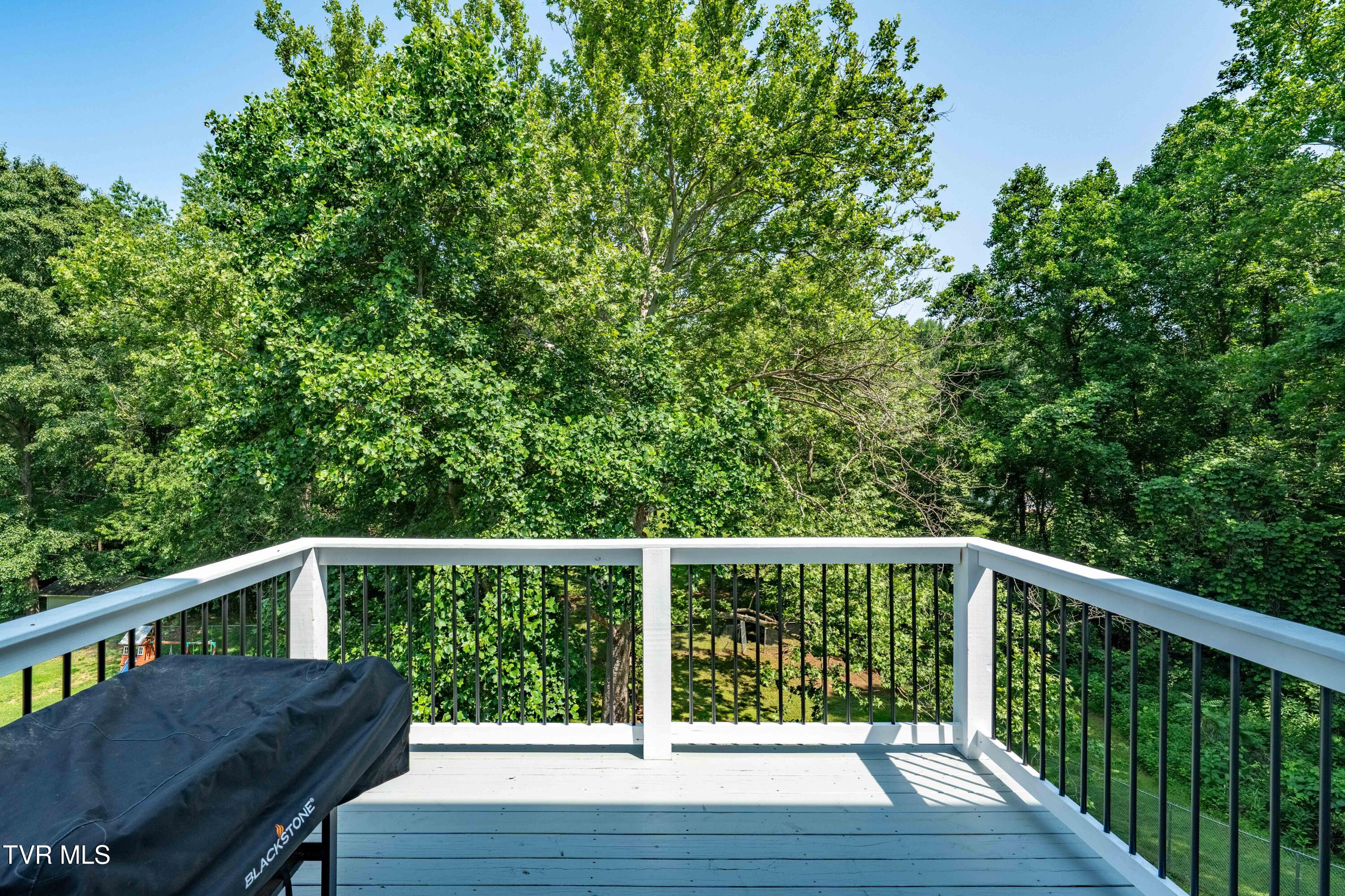 193 River Road Bluff City, TN 37618 - Photo 39 of 71 193 River Road (44 of 81)