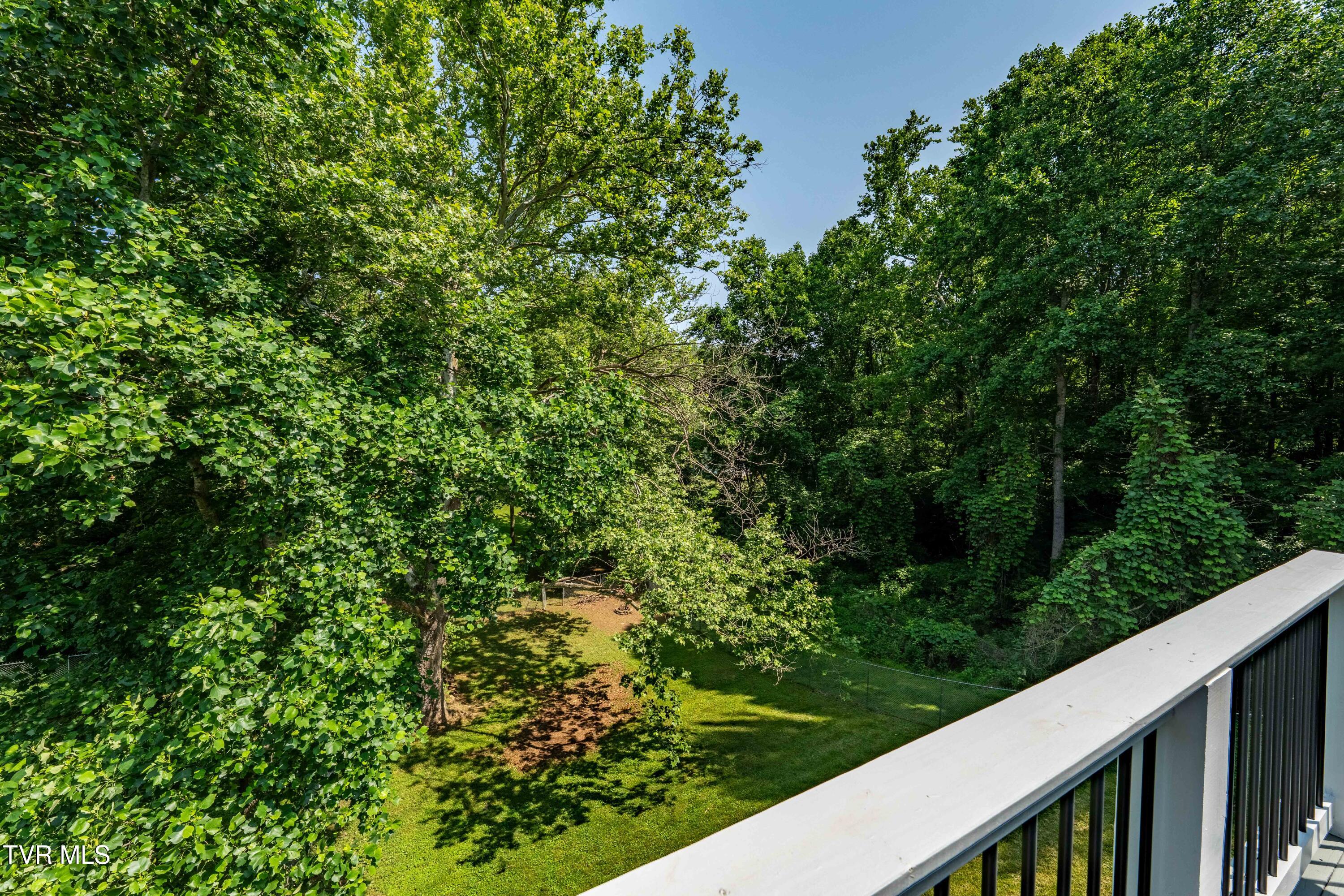 193 River Road Bluff City, TN 37618 - Photo 40 of 71 193 River Road (46 of 81)