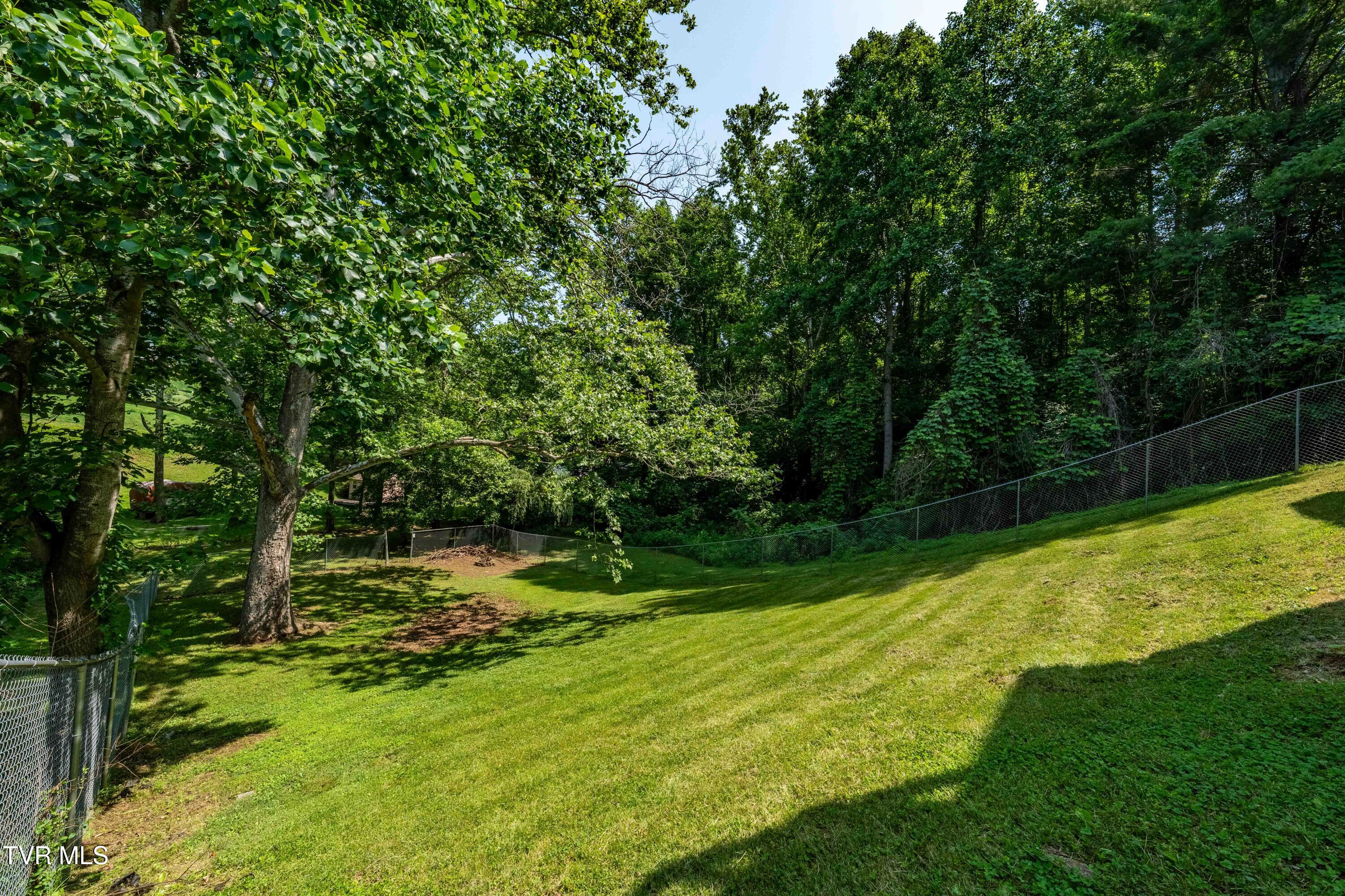 193 River Road Bluff City, TN 37618 - Photo 49 of 71 193 River Road (34 of 81)