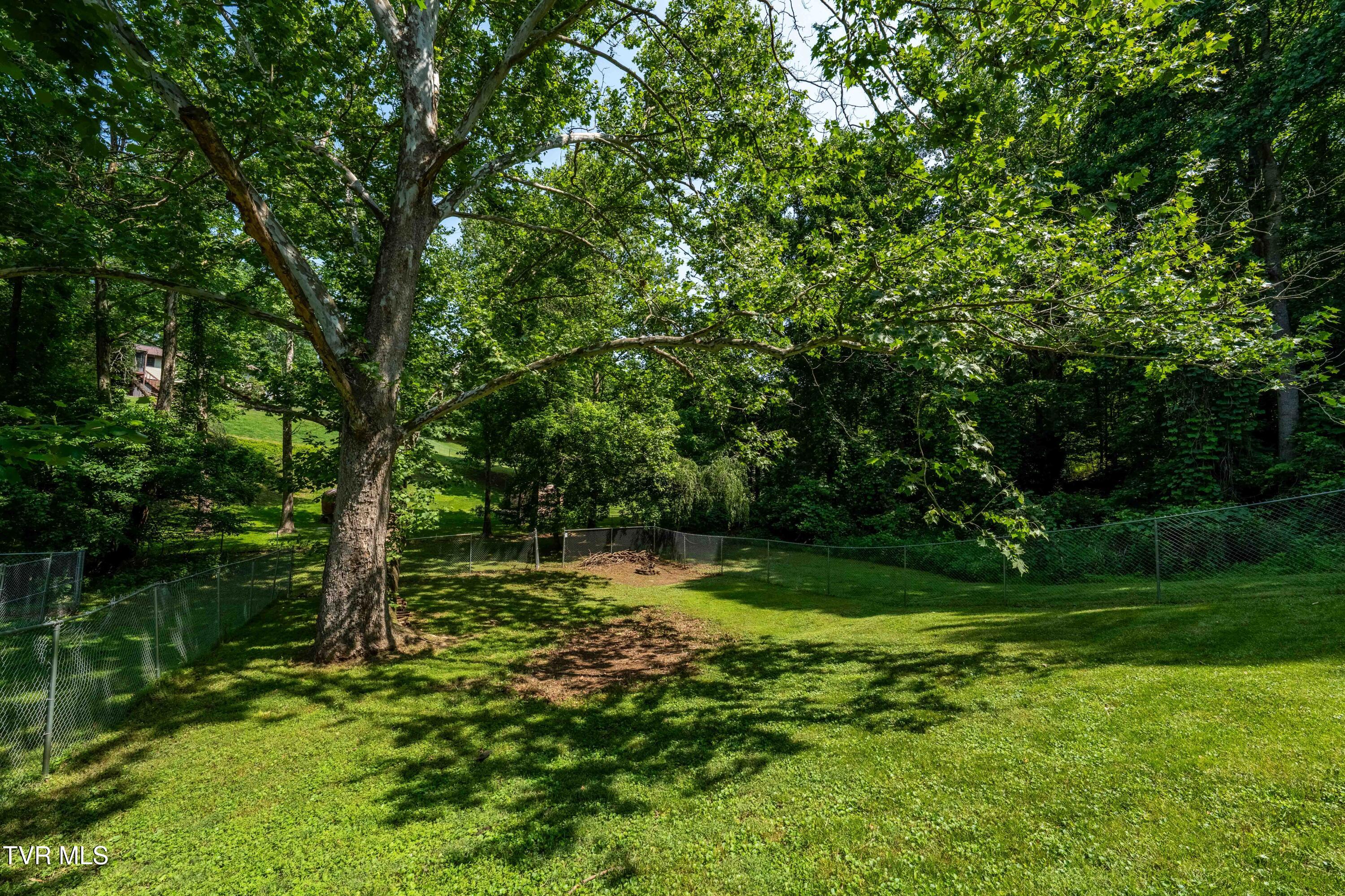 193 River Road Bluff City, TN 37618 - Photo 50 of 71 193 River Road (35 of 81)